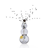 Bubbles Vase Bong