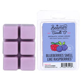 Beamer Candle Co. Smoke Killer Collection Artisan Wax Drops | 2.4oz