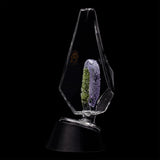 CaliBear Crystal Arch Puffco Peak Glass Attachment